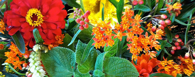 blog07a