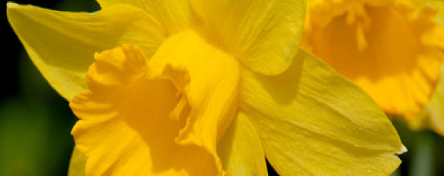3112BLOGbanner