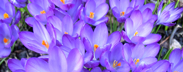 3812BLOGbanner