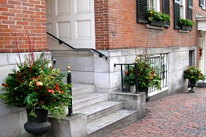potted plants outside a walkway
