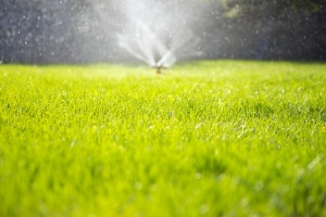 sprinkler watering a landscaped lawn
