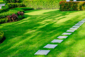 the lawn is maintained and cared for by the hired landscape contractor