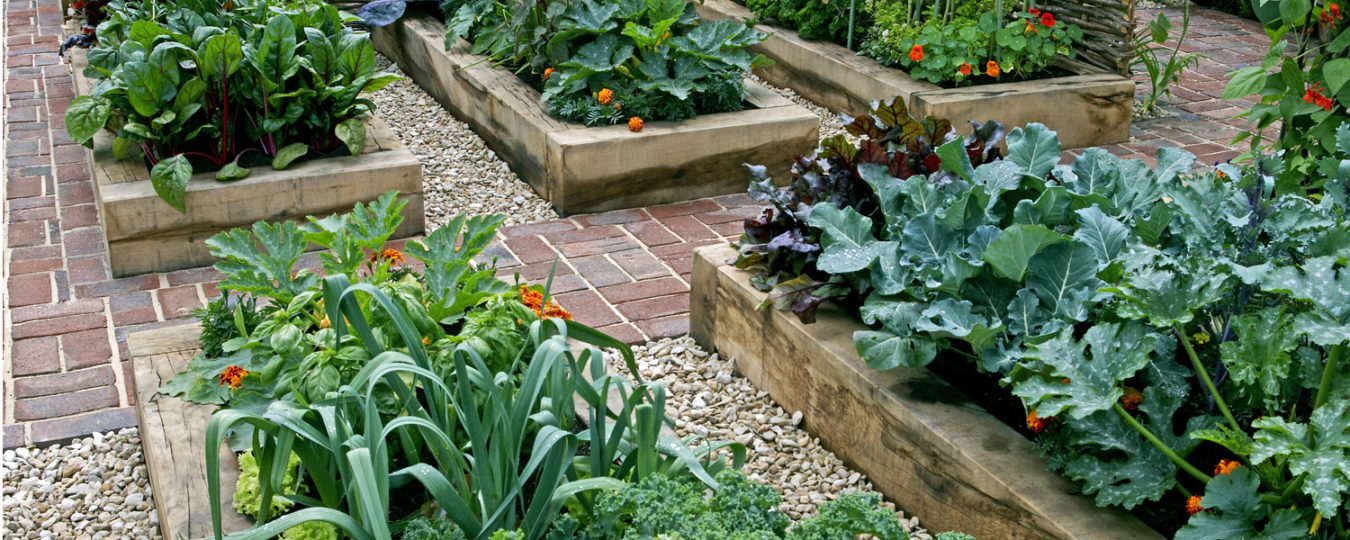 design of the garden lanscape is to divide it to subsections