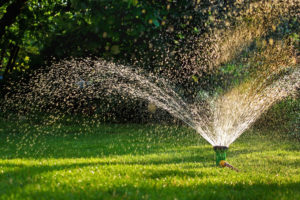 sprinklers are installed in the garden by a landscape design company
